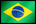 pt-BR